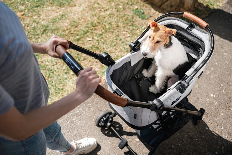 FikaGO Flytta Plus Detachable Pet Stroller | 3-in-1 Pet Travel System