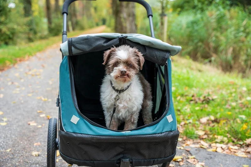 InnoPet Noah Dog Stroller, Bike Trailer & Travel Crate