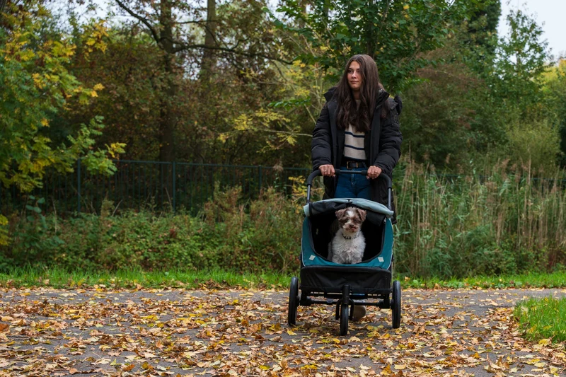 InnoPet Noah Dog Stroller, Bike Trailer & Travel Crate