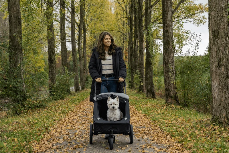 InnoPet Noah Dog Stroller, Bike Trailer & Travel Crate