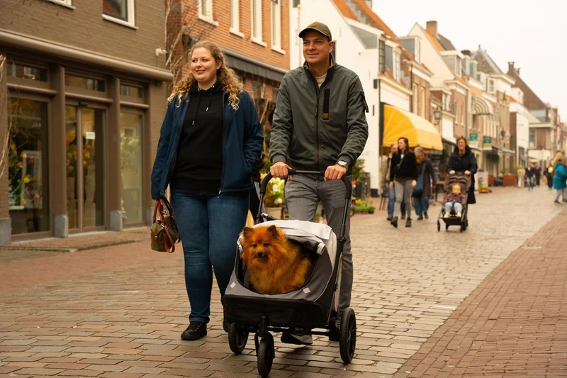 InnoPet Noah Dog Stroller, Bike Trailer & Travel Crate