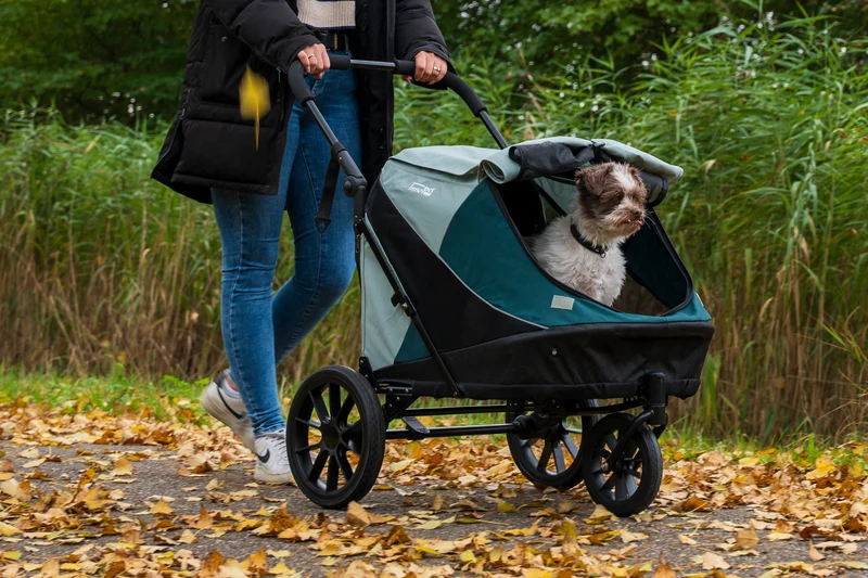 InnoPet Noah Dog Stroller, Bike Trailer & Travel Crate