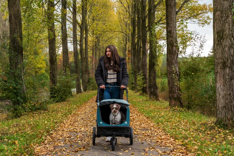 InnoPet Noah Dog Stroller, Bike Trailer & Travel Crate