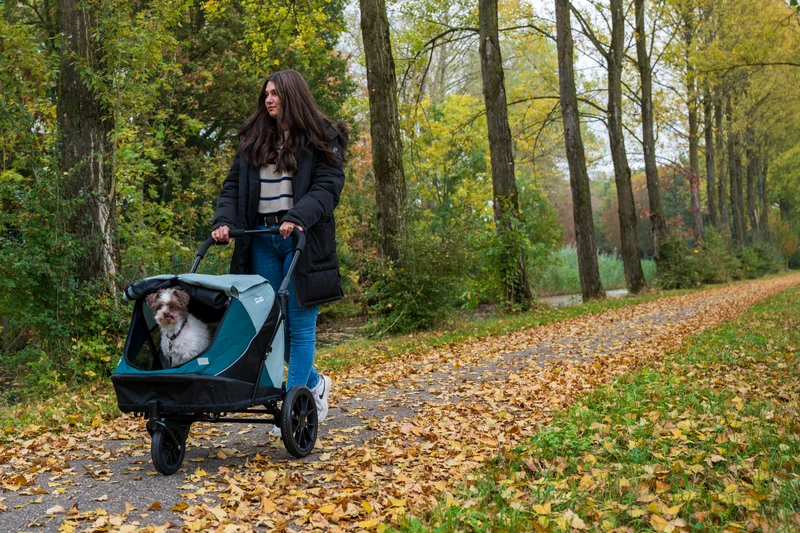 InnoPet Noah Dog Stroller, Bike Trailer & Travel Crate