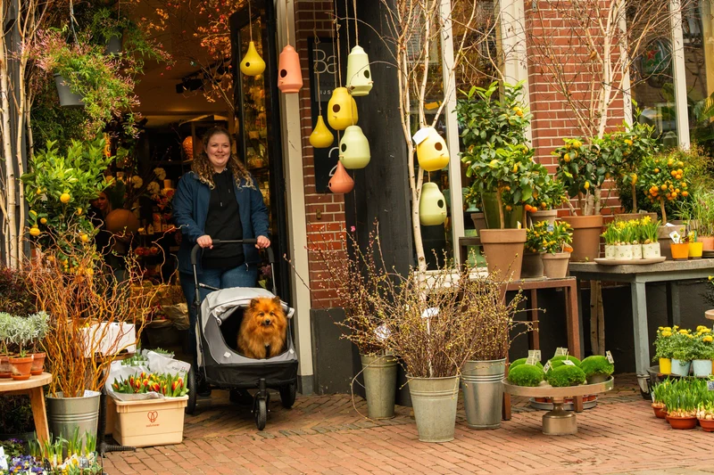InnoPet Noah Dog Stroller, Bike Trailer & Travel Crate