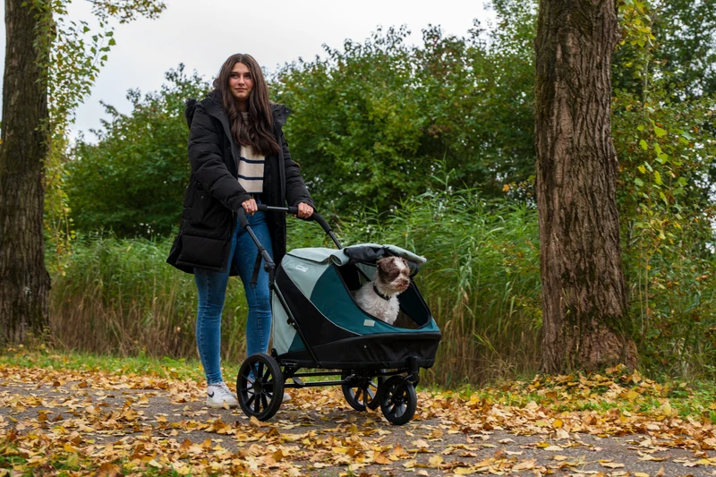 InnoPet Noah Dog Stroller, Bike Trailer & Travel Crate