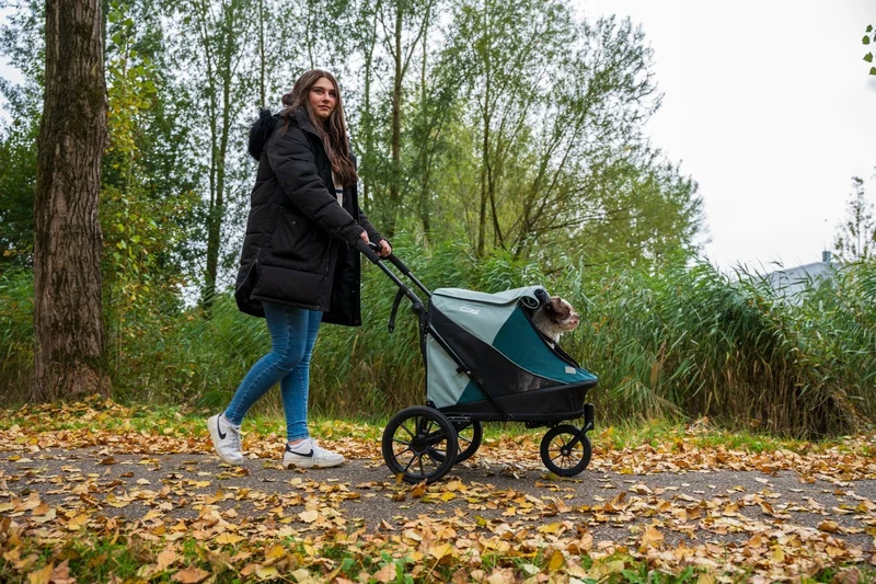 InnoPet Noah Dog Stroller, Bike Trailer & Travel Crate