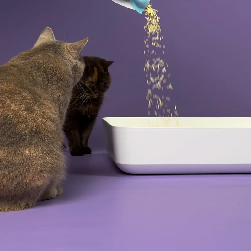 Hoopo Tofu Natural Cat Litter | 17L