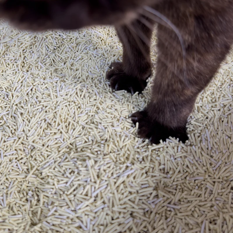 Hoopo Tofu Natural Cat Litter | 17L