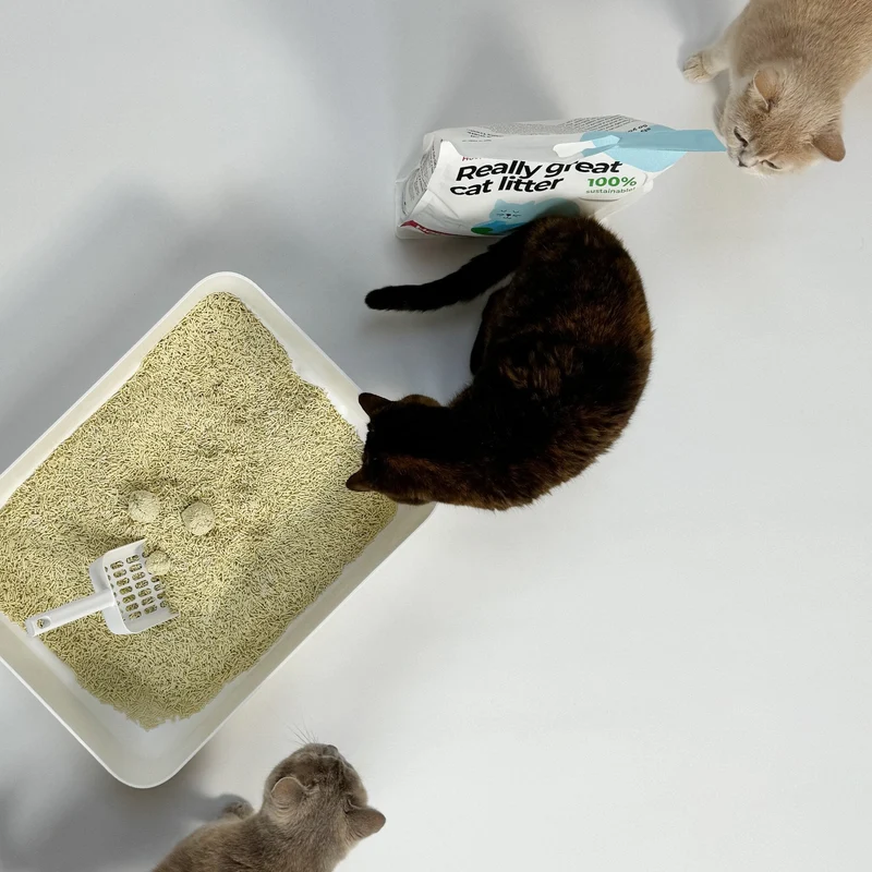 Hoopo Tofu Natural Cat Litter | 17L