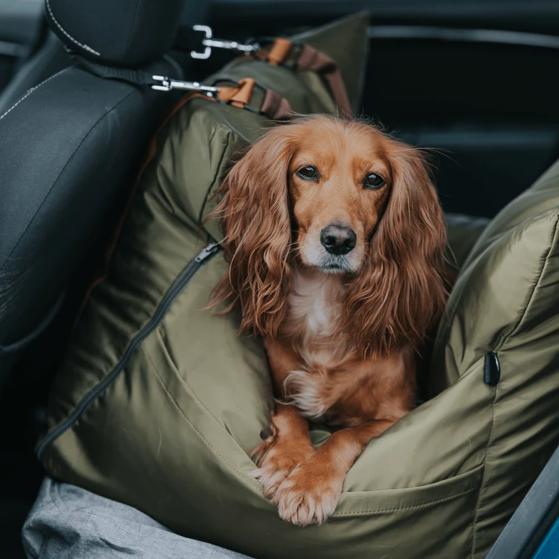 Luther Bennett ISOFIX Travel Dog Car Seat 2.0