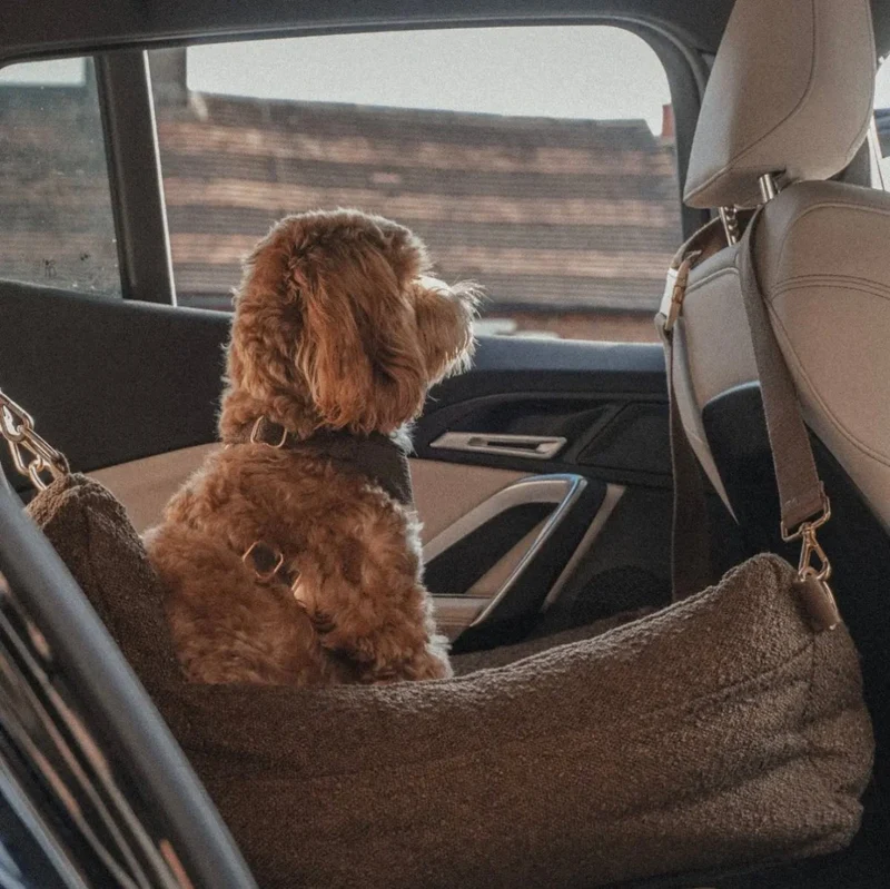 By Teddy The Bouclé Dog Car Seat