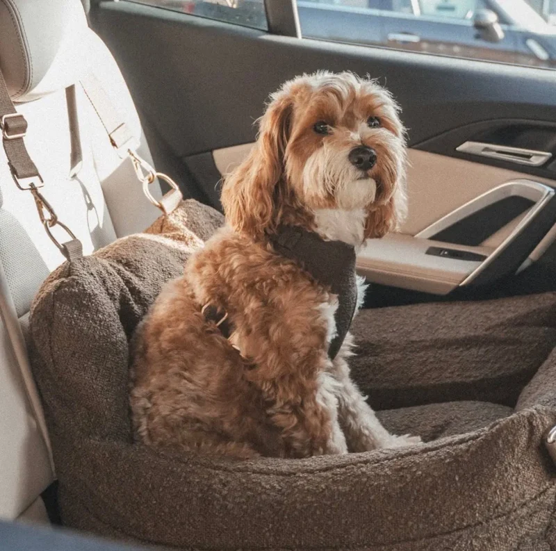 By Teddy The Bouclé Dog Car Seat