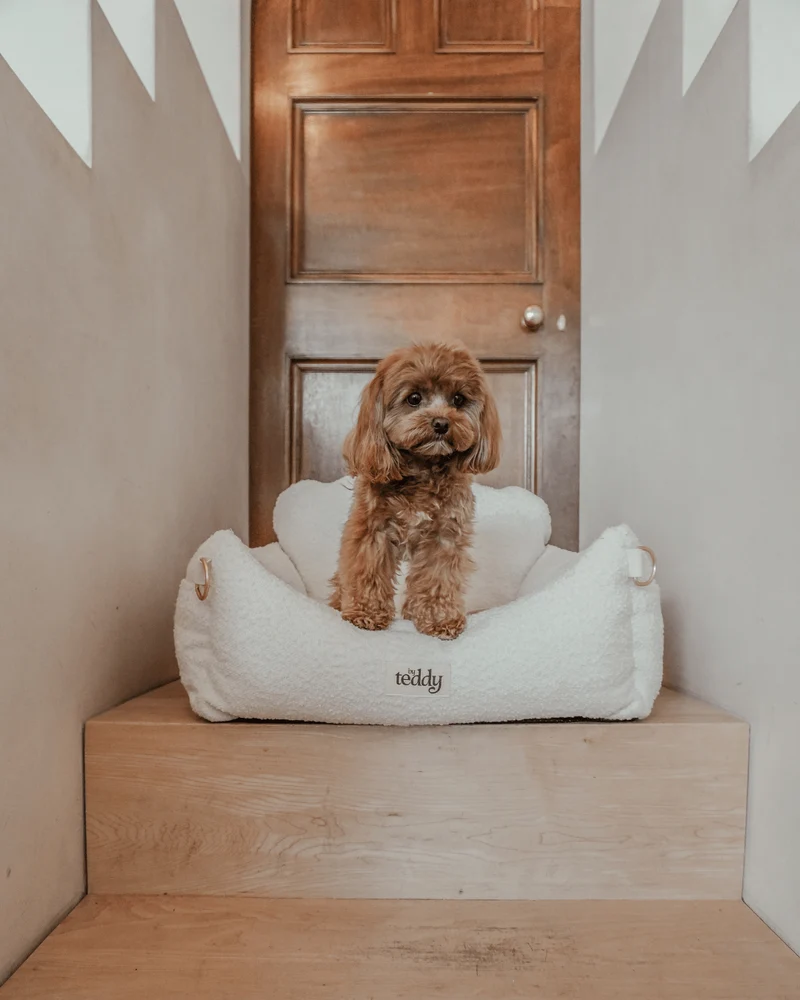 By Teddy The Bouclé Dog Car Seat