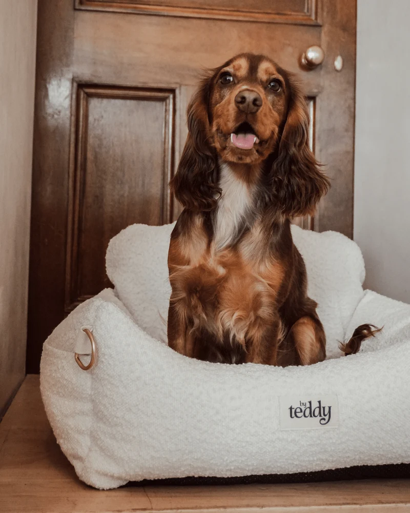 By Teddy The Bouclé Dog Car Seat