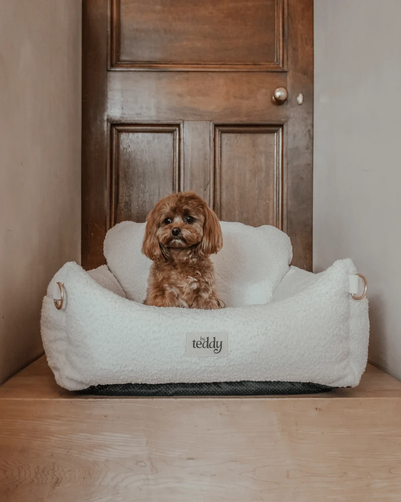 By Teddy The Bouclé Dog Car Seat
