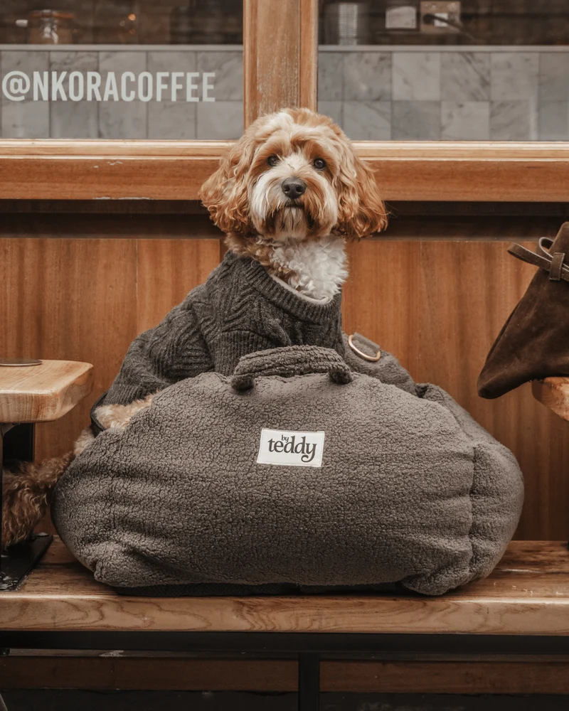 By Teddy The Cosy Dog Car Seat | 3-in-1 | Vegan Sherpa Fabric