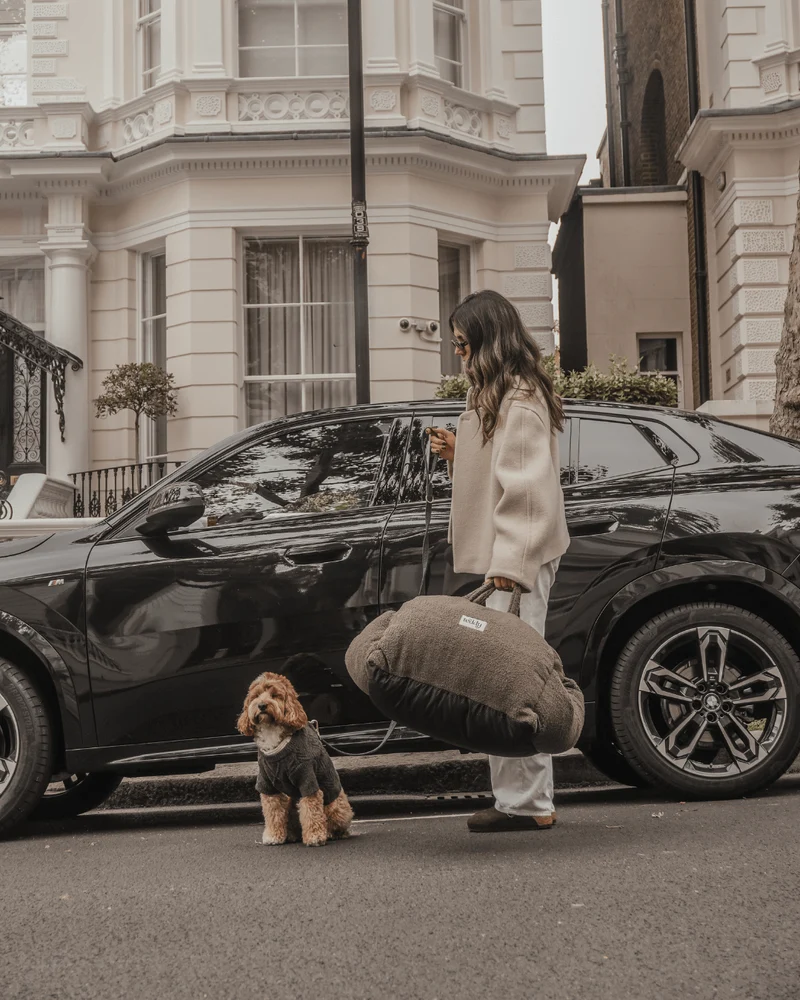 By Teddy The Cosy Dog Car Seat | 3-in-1 | Vegan Sherpa Fabric