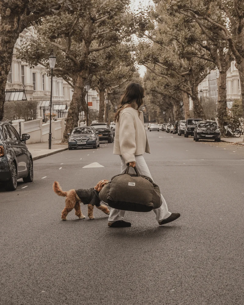 By Teddy The Cosy Dog Car Seat | 3-in-1 | Vegan Sherpa Fabric