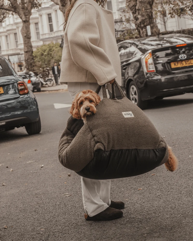 By Teddy The Cosy Dog Car Seat | 3-in-1 | Vegan Sherpa Fabric