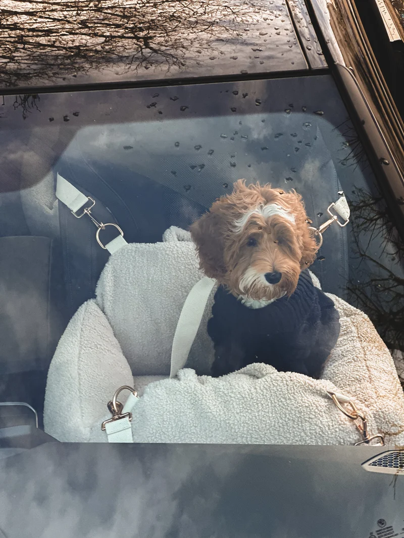 By Teddy The Cosy Dog Car Seat | 3-in-1 | Vegan Sherpa Fabric