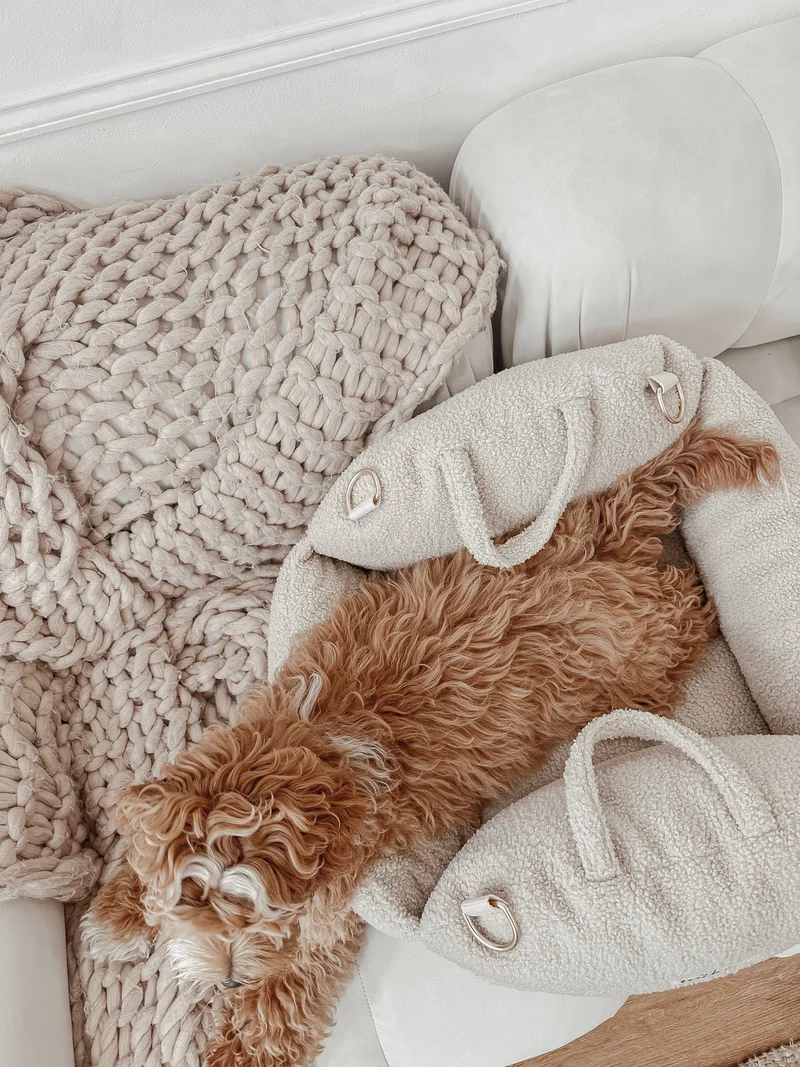 By Teddy The Cosy Dog Car Seat | 3-in-1 | Vegan Sherpa Fabric