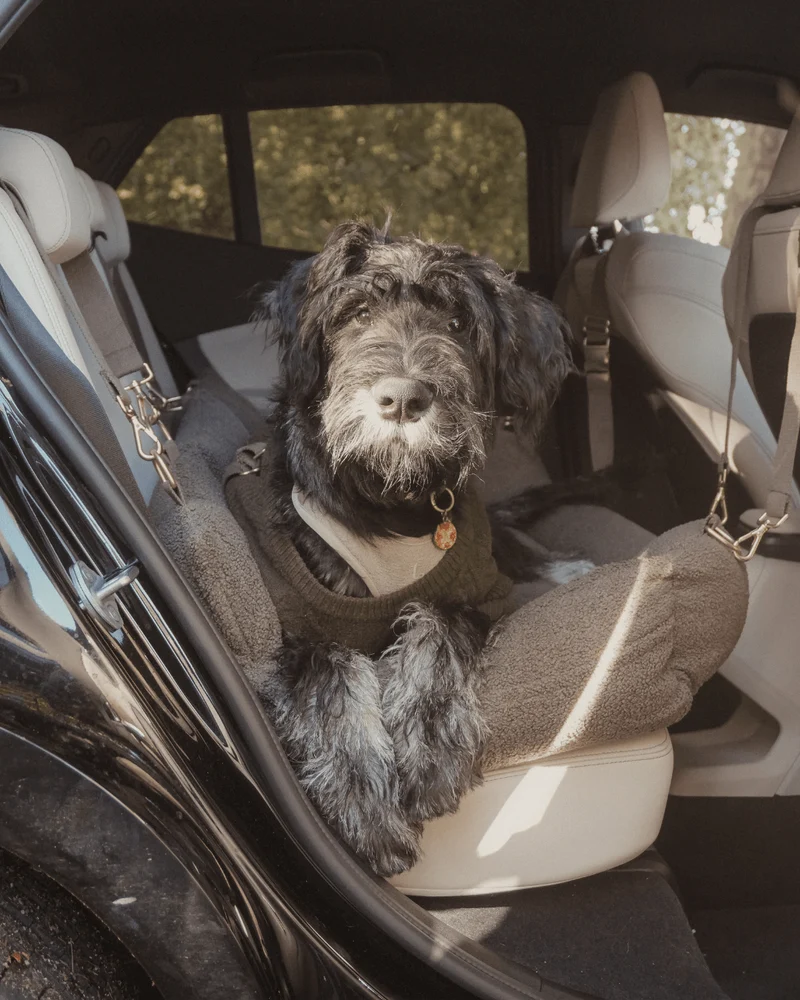 By Teddy Extra Large Cosy Dog Car Seat | Vegan Sherpa Fabric