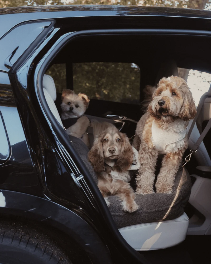 By Teddy Extra Large Cosy Dog Car Seat | Vegan Sherpa Fabric