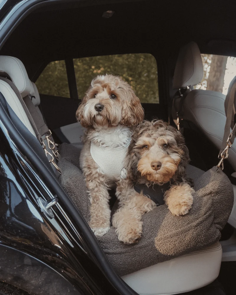 By Teddy Extra Large Cosy Dog Car Seat | Vegan Sherpa Fabric