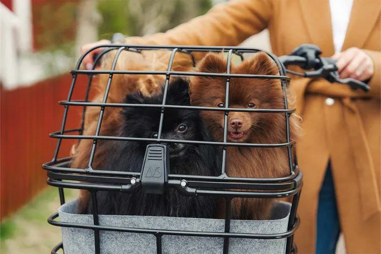 AtranVelo DUO AVS Pet Bike Basket