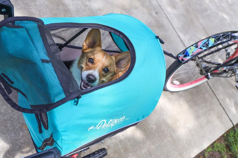 Petique Trailblazer Pet Stroller & Dog Bike Trailer incl. Free Rain Cover + Tow Bar