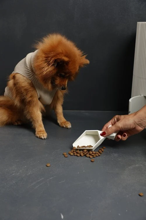 OMNIAGIOIA Pet Food Scoop