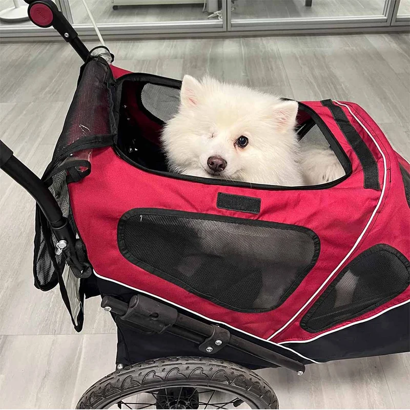 Buddies on the Go! Pet Trailer 2-in-1 | 20% Off