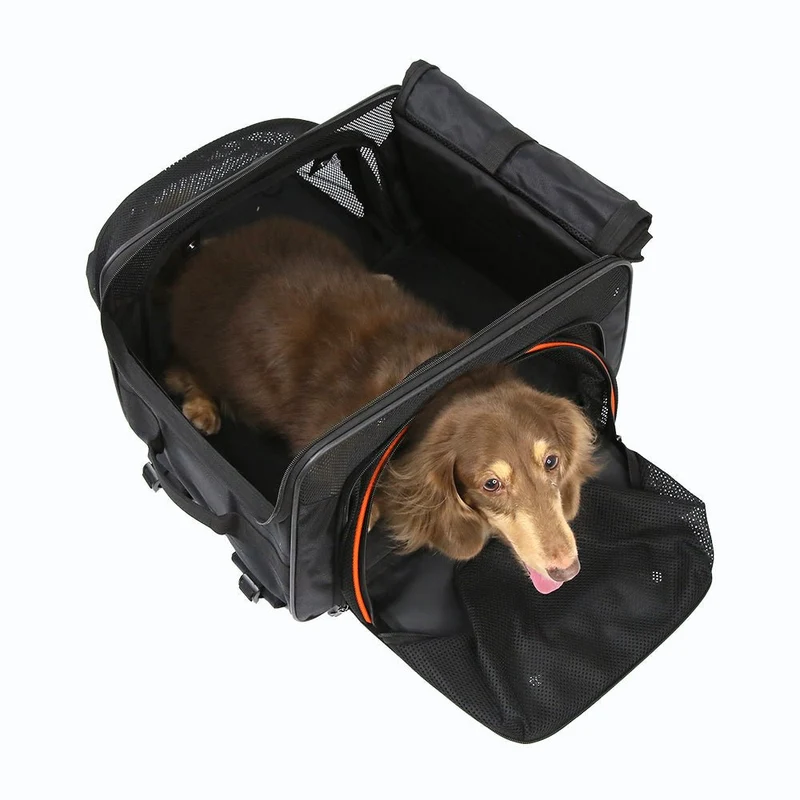 Ibiyaya JetPaw 3-in-1 Pet Stroller/Removable Airline-Approved Carrier | Expandable Rolling Pet Carrier-Backpack