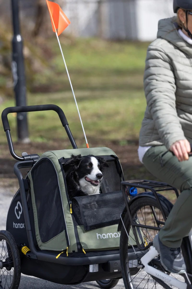 Hamax Pluto Multi-functional Dog Stroller & Dog Bike Trailer | Medium