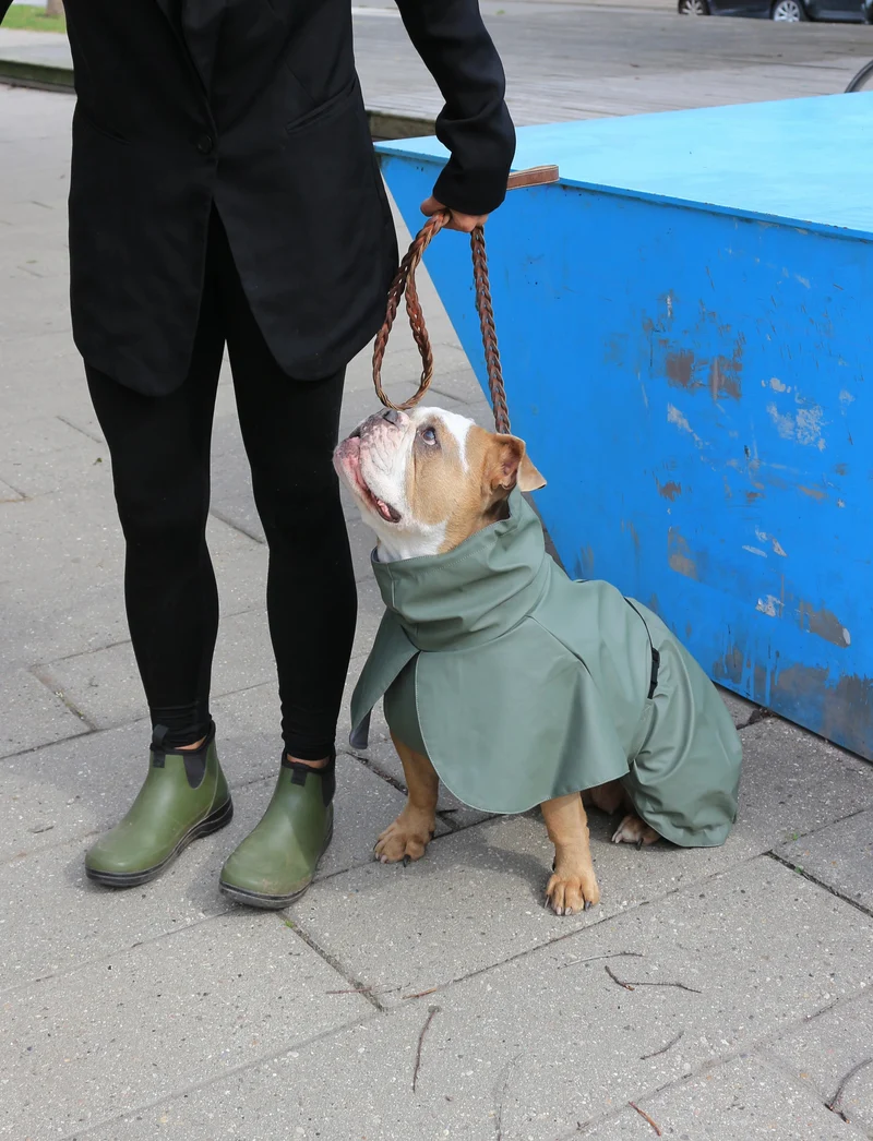 Tadazhi Dog Raincoat