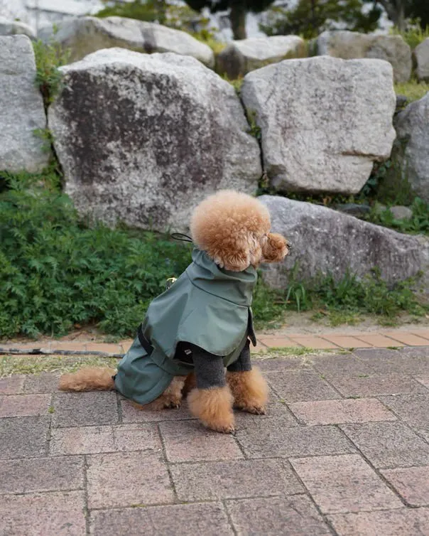 Tadazhi Dog Raincoat