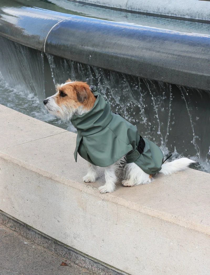 Tadazhi Dog Raincoat
