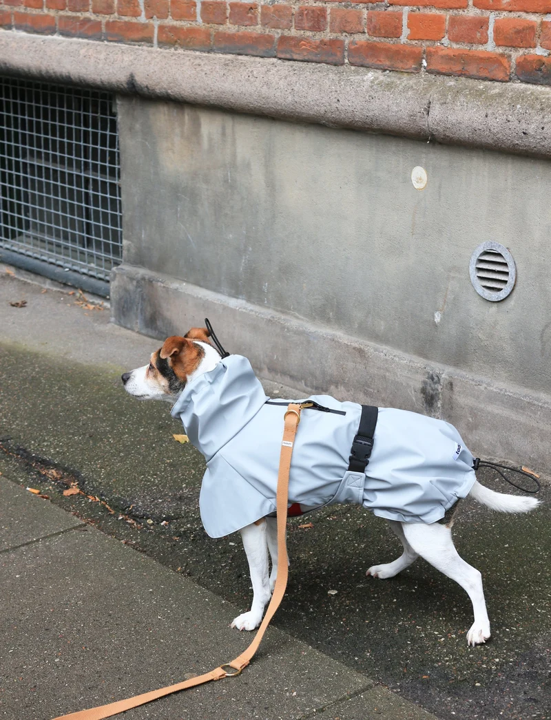 Tadazhi Dog Raincoat
