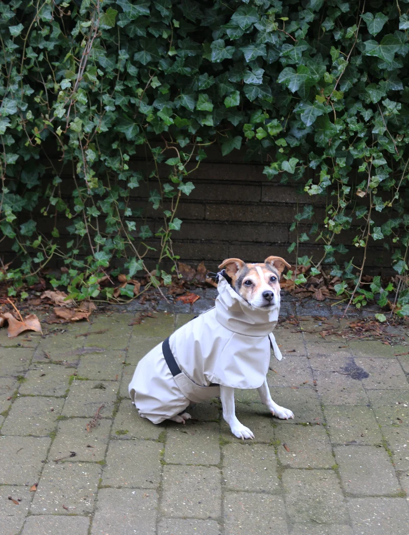 Tadazhi Dog Raincoat