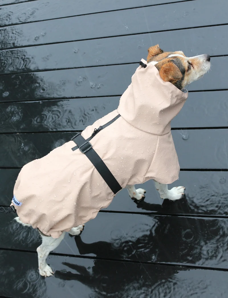 Tadazhi Dog Raincoat