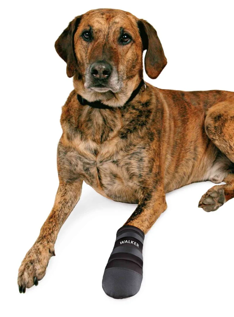 Trixie Walker Care Protective Boots for Dogs