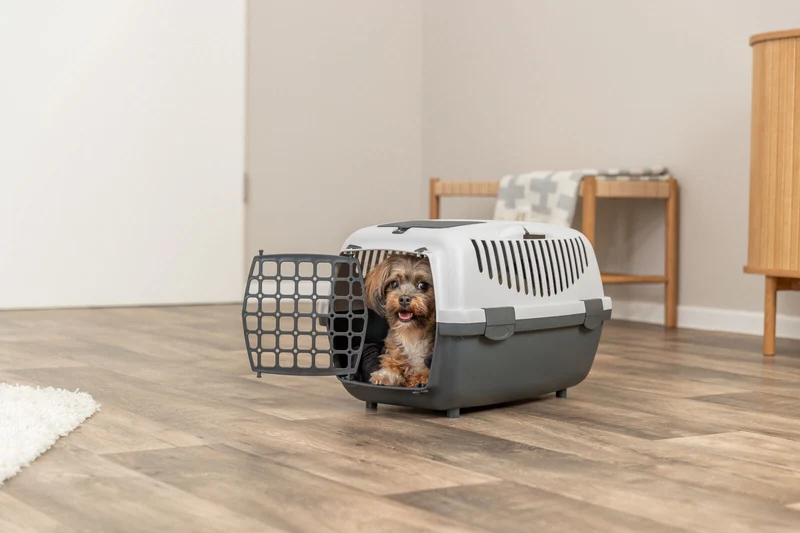 Trixie Capri 2 Pet Carrier 55x37x34cm