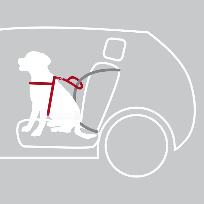 Trixie Dog Protect Car Harness