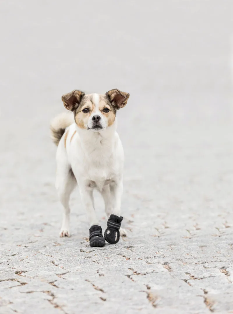 Trixie Walker Active Protective Boots 2pc-Set for Dogs
