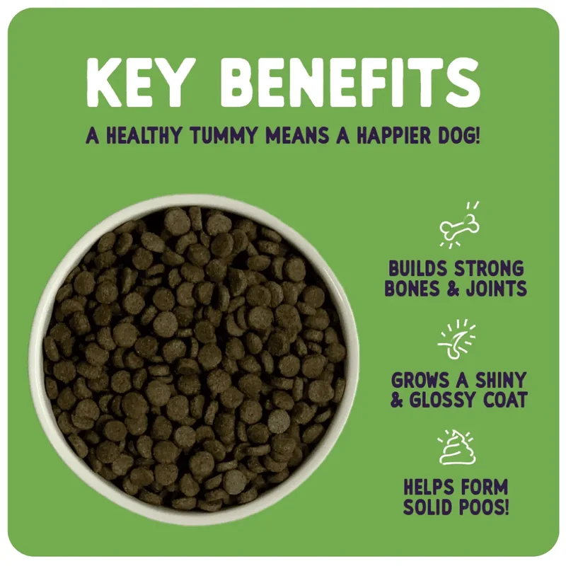 Burgess Sensitive Adult Dry Dog Food Salmon