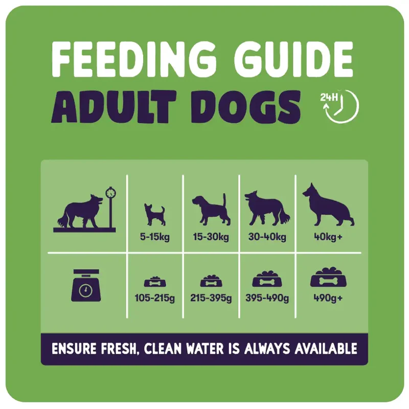 Burgess Sensitive Adult Dry Dog Food Salmon