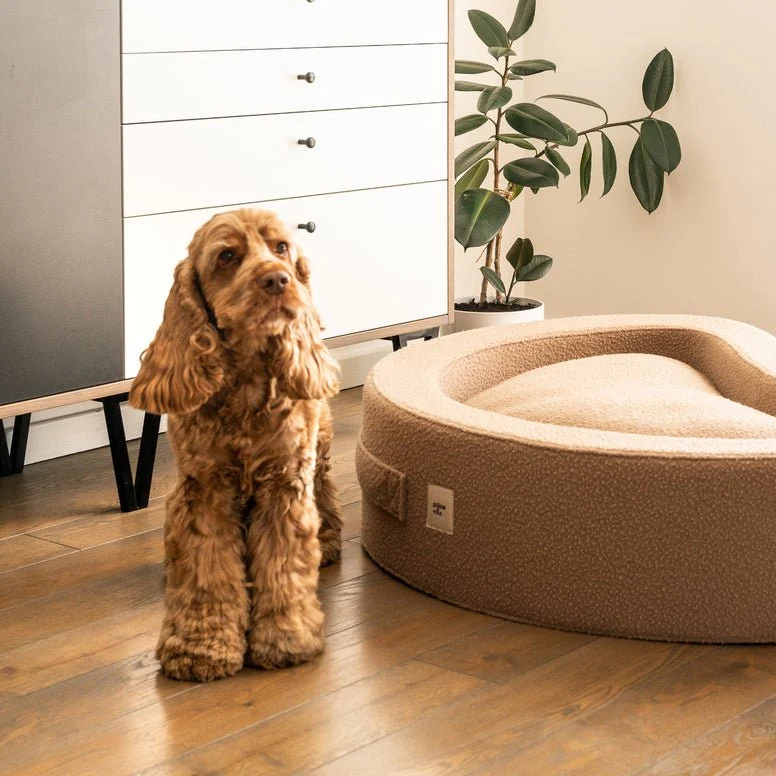 PillowVilla Casentino Wool Dog Bed CUDDLY BEAN
