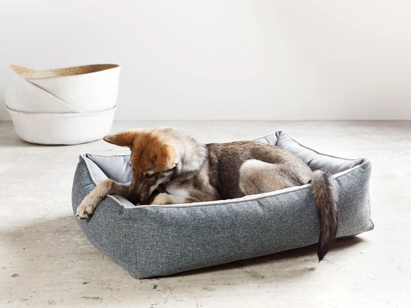 Laboni Scala Reversible Orthopaedic Dog Bed