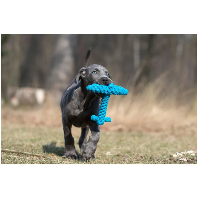 Laboni Ahoy Dog Toy Set